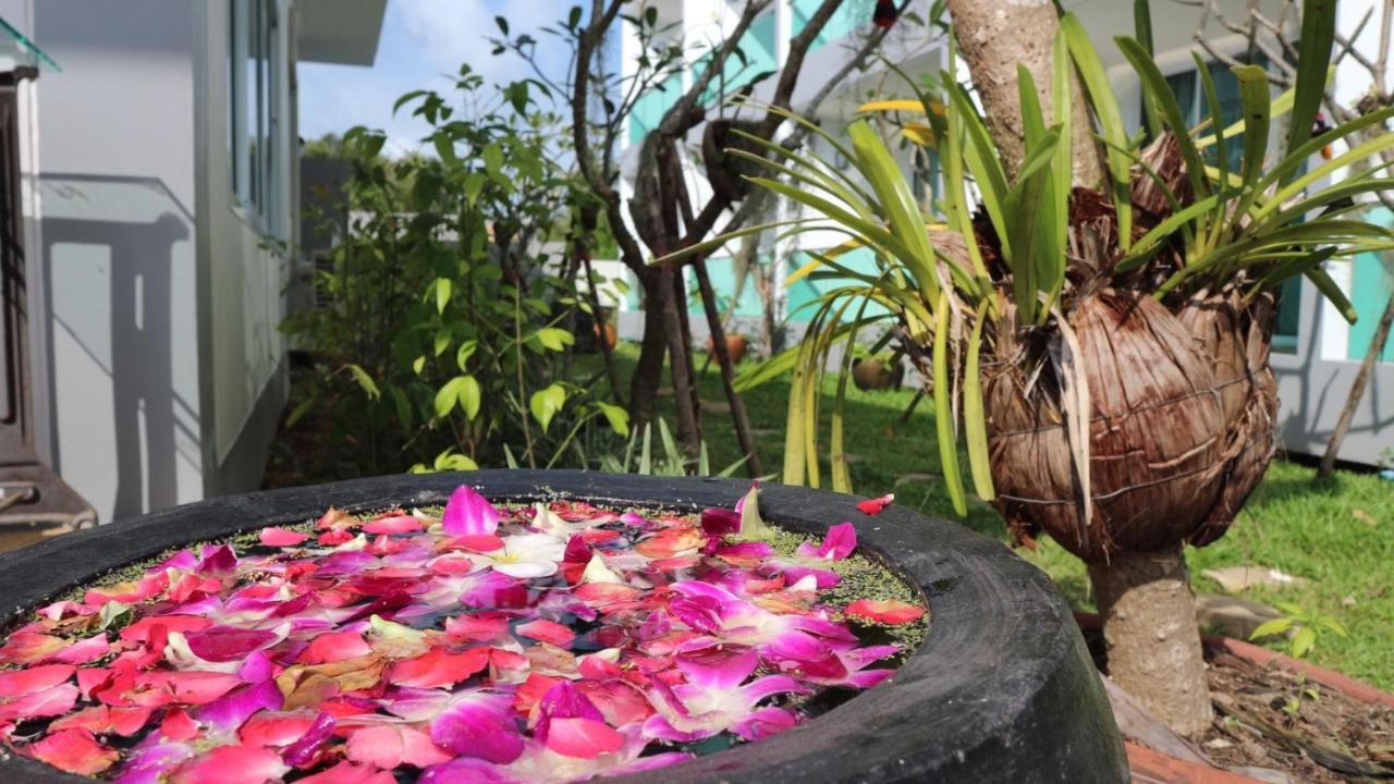The Tree Samui Hotel Bophut Exterior photo